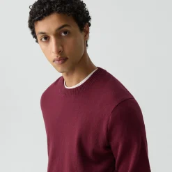 Hilles Crewneck Sweater in Cashmere